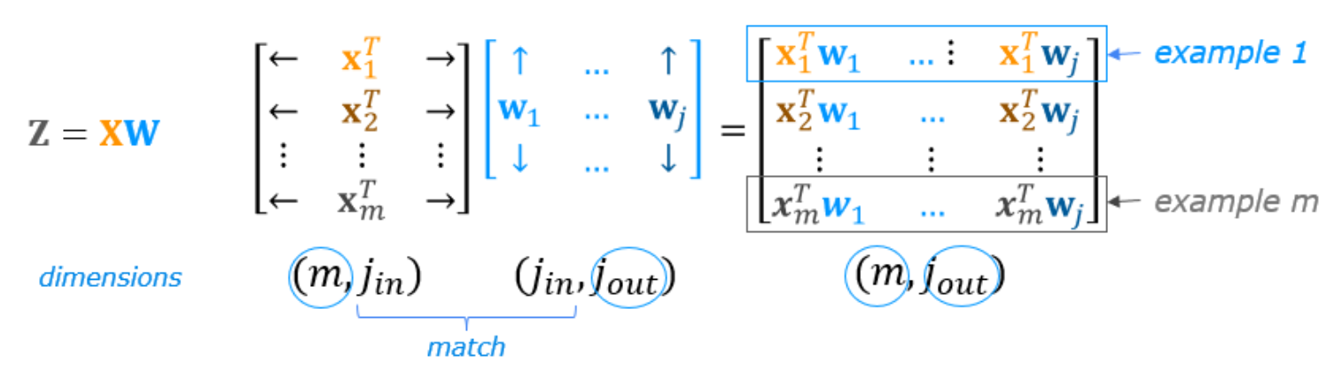 屏幕截图 2025-01-27 202227